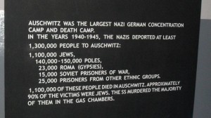 Auschwitz-Birkenau Concentation Camp - 019