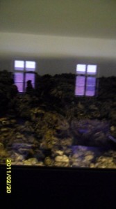 Auschwitz-Birkenau Concentation Camp - 043